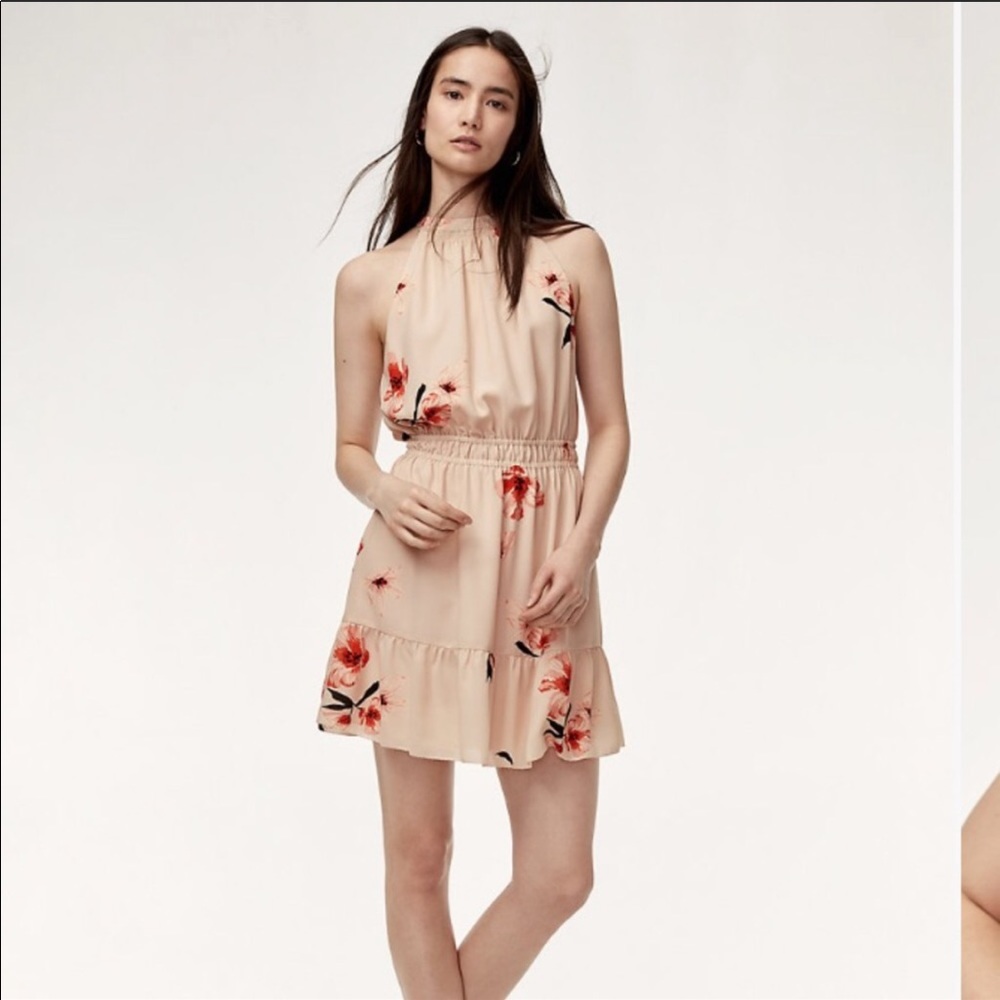 Aritzia Wilfred Effet Mini Dress
